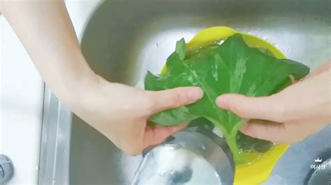 찌기 삶기 2가지 버전 전자레인지, 찜기 호박잎 양배추 삶는 법